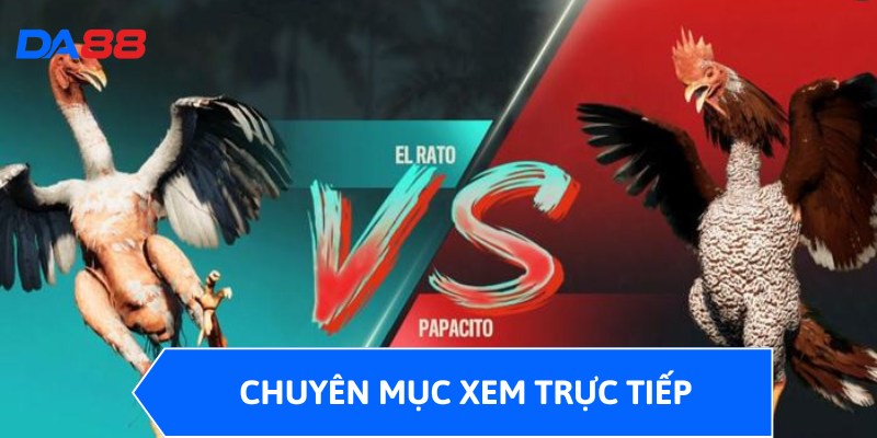 Đá Gà DA88 - Sảnh Cược Đỉnh, Trải Nghiệm Không Thể Bỏ Qua 3 Chuyên mục xem trực tiếp